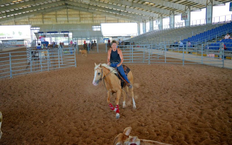 Livestock Show Sorting Events