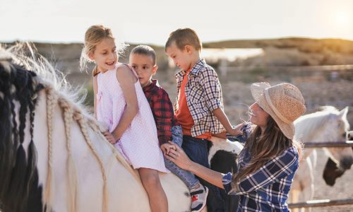 Group Lessons All Levels