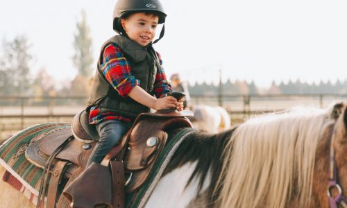 Basic Horsemanship Lessons