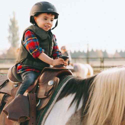 Basic Horsemanship Lessons